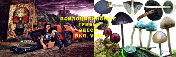 тгк Волосово