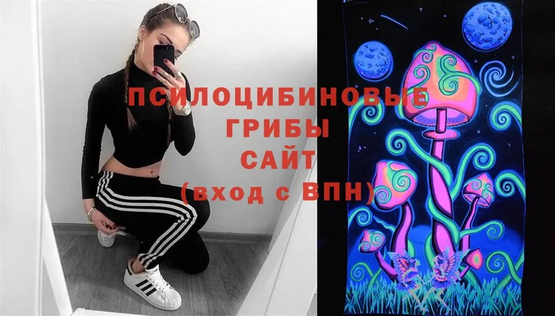 где купить   Тула  мега как войти  Галлюциногенные грибы MAGIC MUSHROOMS 